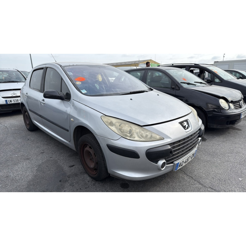 Porte arriere gauche PEUGEOT 307 Photo n°10