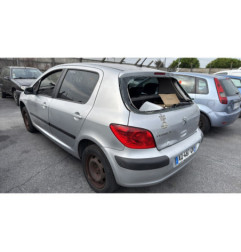 Porte arriere gauche PEUGEOT 307