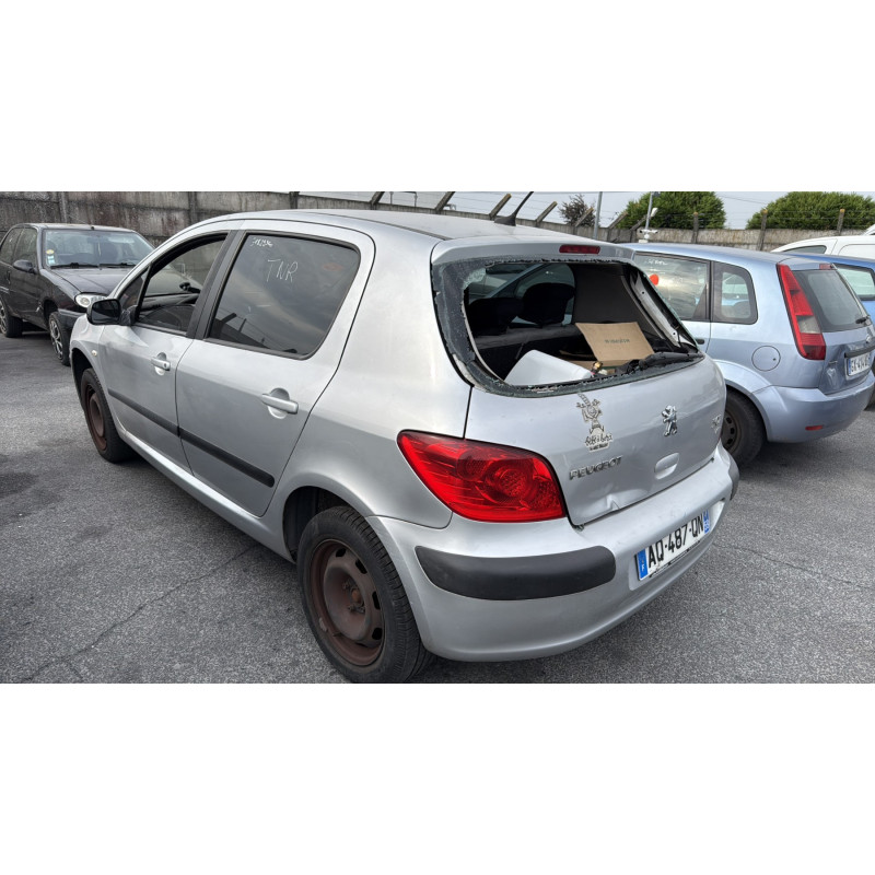 Porte arriere gauche PEUGEOT 307 Photo n°12