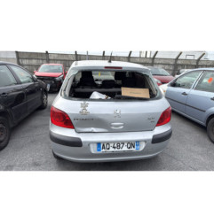 Porte arriere gauche PEUGEOT 307