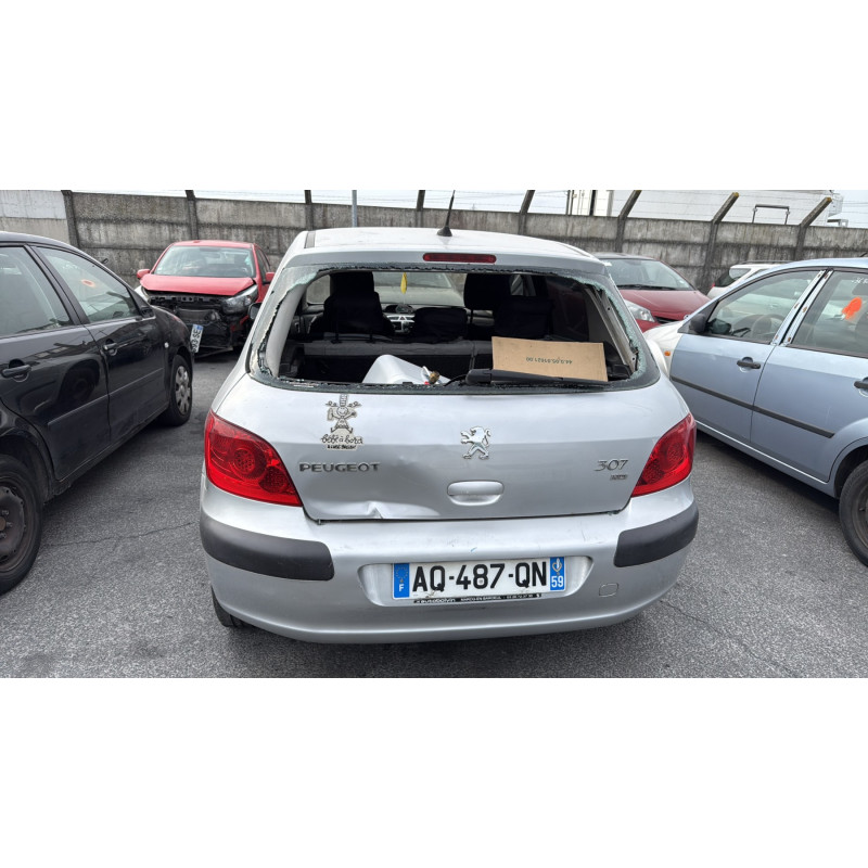 Porte arriere gauche PEUGEOT 307 Photo n°13