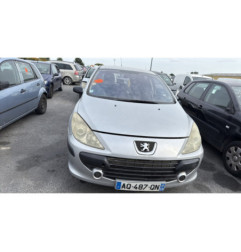 Porte arriere gauche PEUGEOT 307