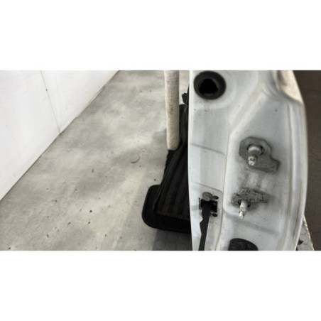 Porte avant gauche RENAULT TWINGO 2