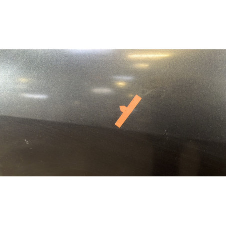 Porte arriere gauche RENAULT SCENIC 2