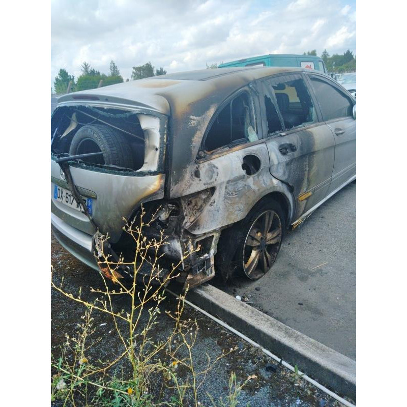 Porte avant droit MERCEDES CLASSE R 251 Photo n°15