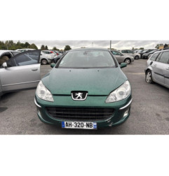 Porte arriere gauche PEUGEOT 407