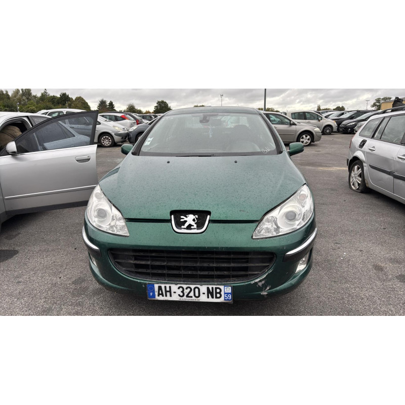 Porte arriere gauche PEUGEOT 407 Photo n°16