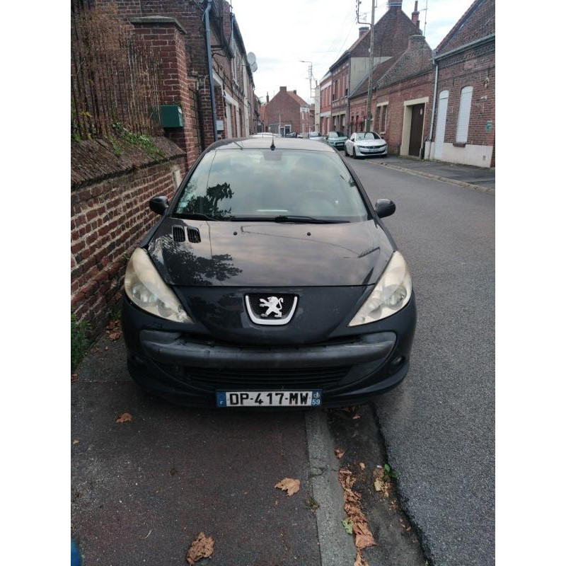 Porte avant droit PEUGEOT 206+ Photo n°16
