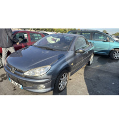 Porte avant droit PEUGEOT 206