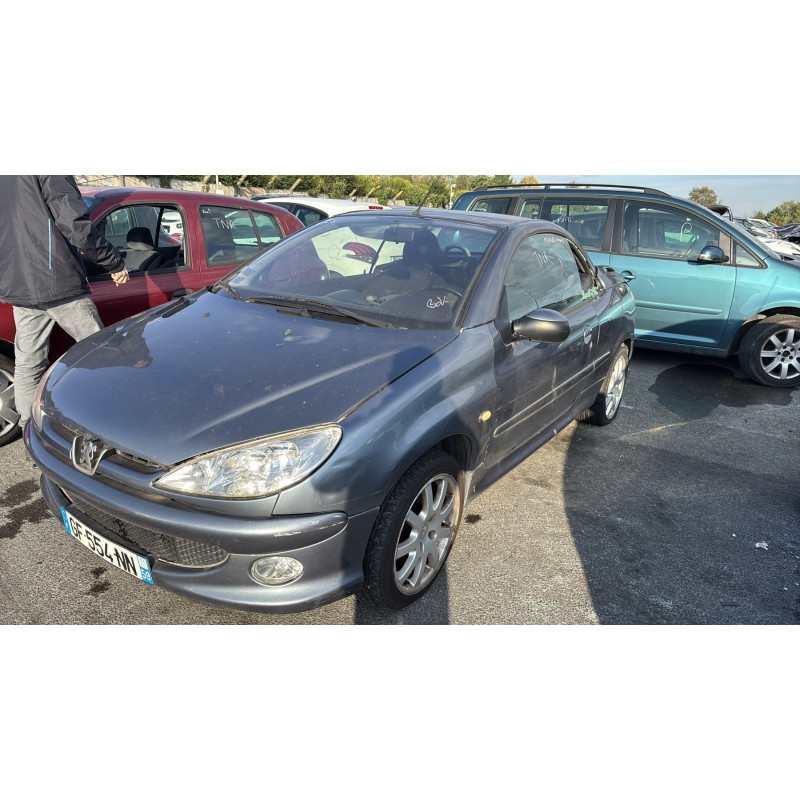 Porte avant droit PEUGEOT 206 Photo n°9