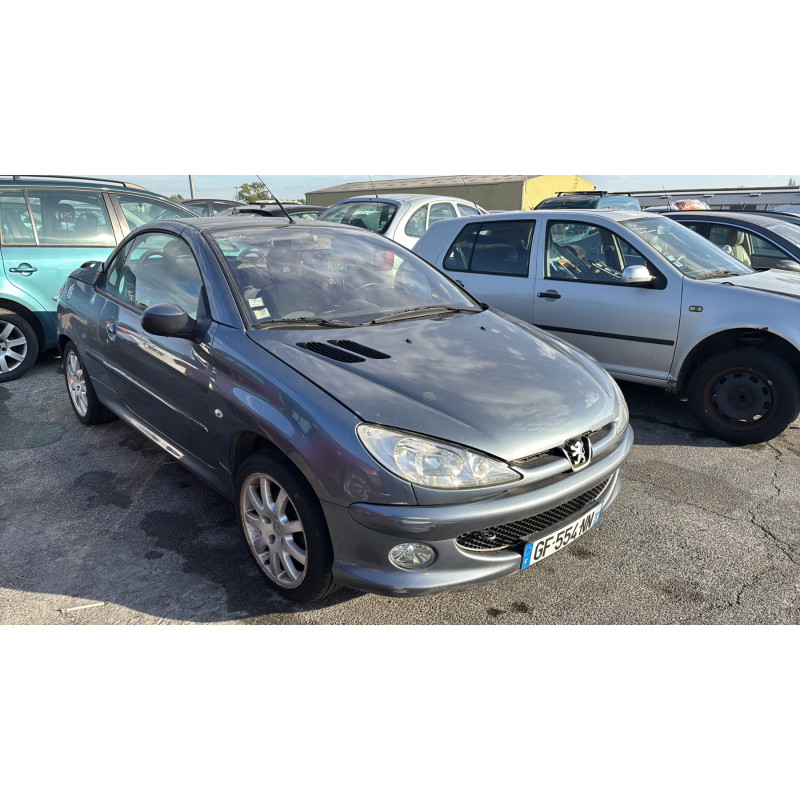 Porte avant droit PEUGEOT 206 Photo n°10
