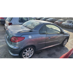 Porte avant droit PEUGEOT 206