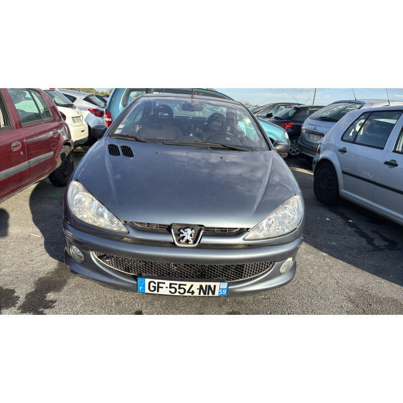 Porte avant droit PEUGEOT 206 Photo n°16