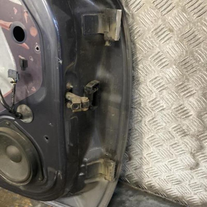 Porte avant gauche OPEL ZAFIRA B Photo n°4