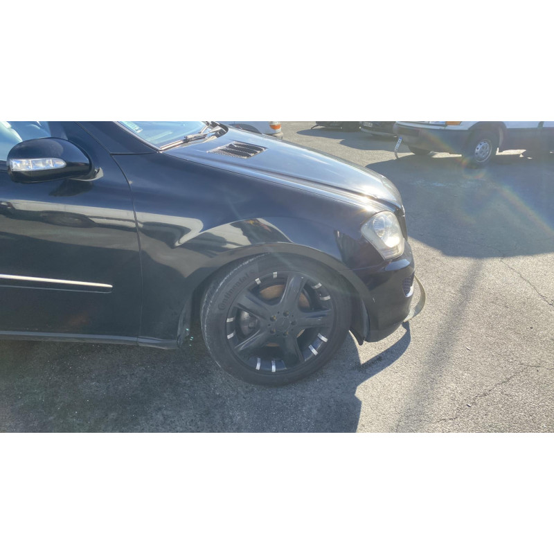 Porte avant gauche MERCEDES CLASSE M 164 Photo n°11