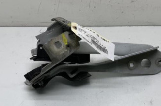 Charniere de capot RENAULT MASTER 3 Photo n°1