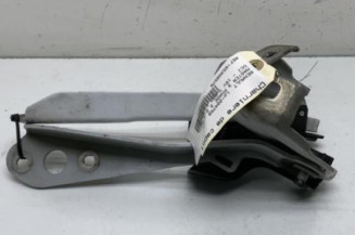 Charniere de capot RENAULT MASTER 3
