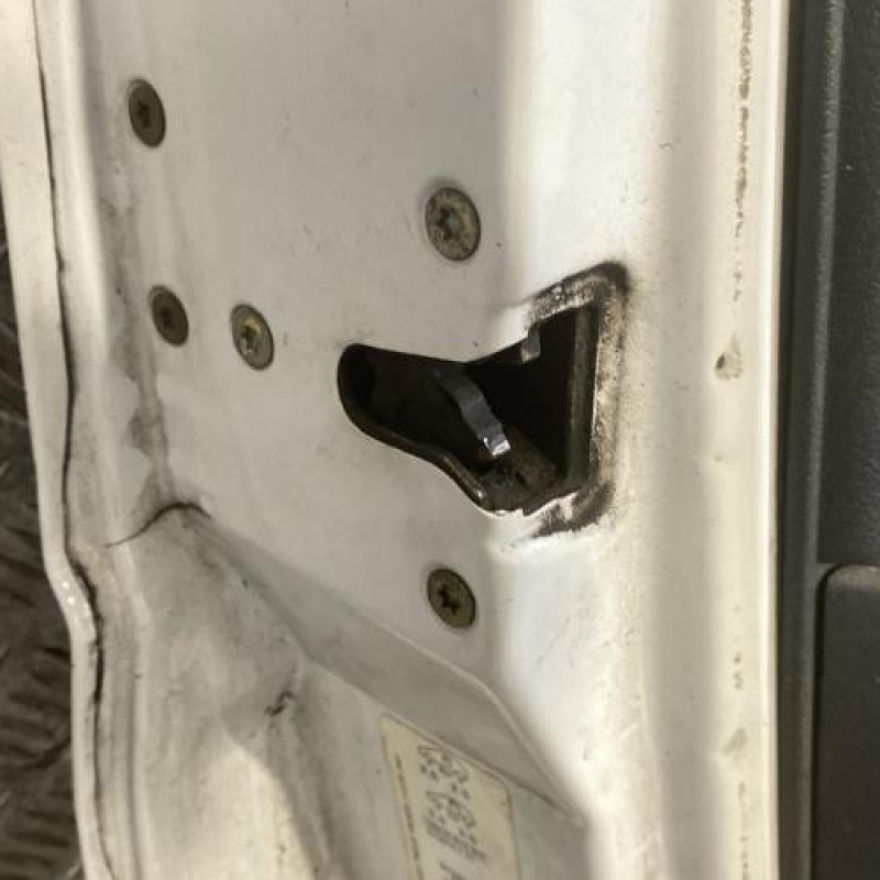 Porte avant gauche FIAT SCUDO 1 Photo n°6