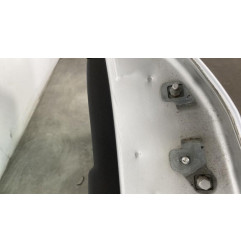 Porte arriere gauche RENAULT CLIO 3 Photo n°1
