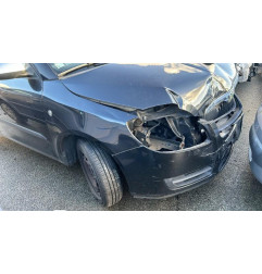 Porte arriere droit SKODA FABIA 2
