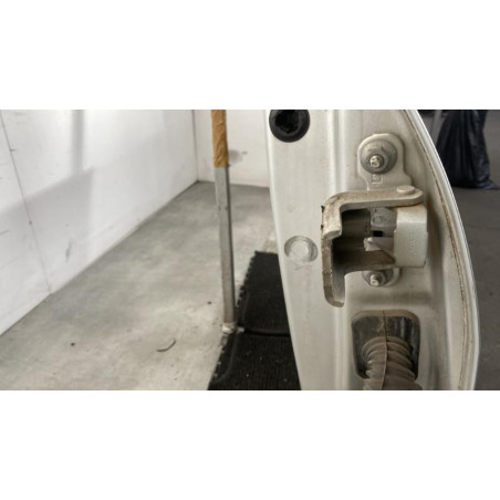 Porte avant gauche RENAULT MEGANE 2 Photo n°1