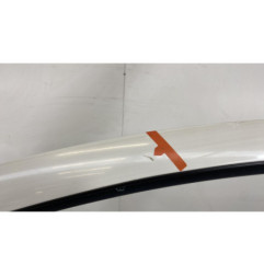 Porte avant gauche CITROEN C3 2