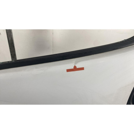 Porte avant gauche RENAULT TRAFIC 2 Photo n°1