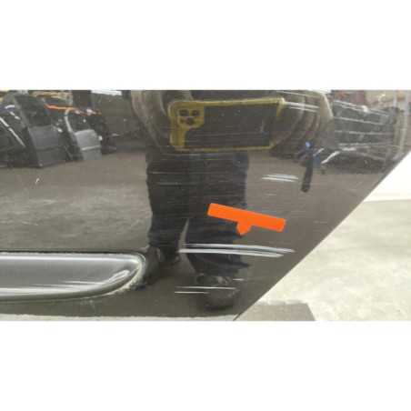 Porte arriere gauche RENAULT GRAND MODUS