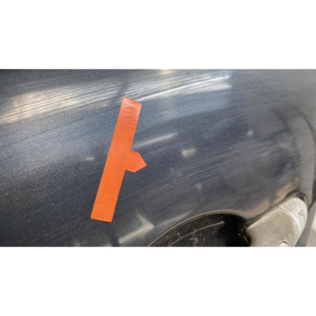 Porte avant gauche RENAULT SCENIC 2