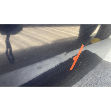 Porte arriere droit OPEL SIGNUM Photo n°1