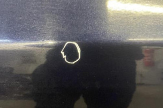 Porte avant droit BMW SERIE 5 E61