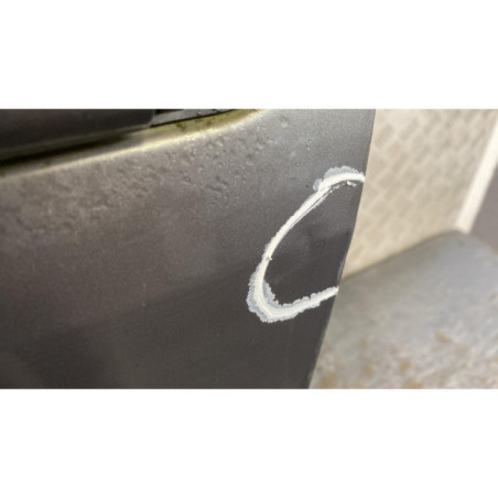 Porte avant gauche RENAULT MEGANE 2 Photo n°1
