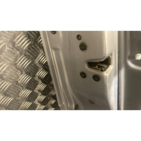 Porte avant gauche RENAULT SCENIC 2