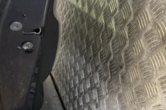 Porte arriere gauche CITROEN C4 GRAND PICASSO 1