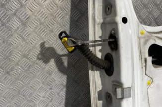 Porte avant droit RENAULT TRAFIC 2