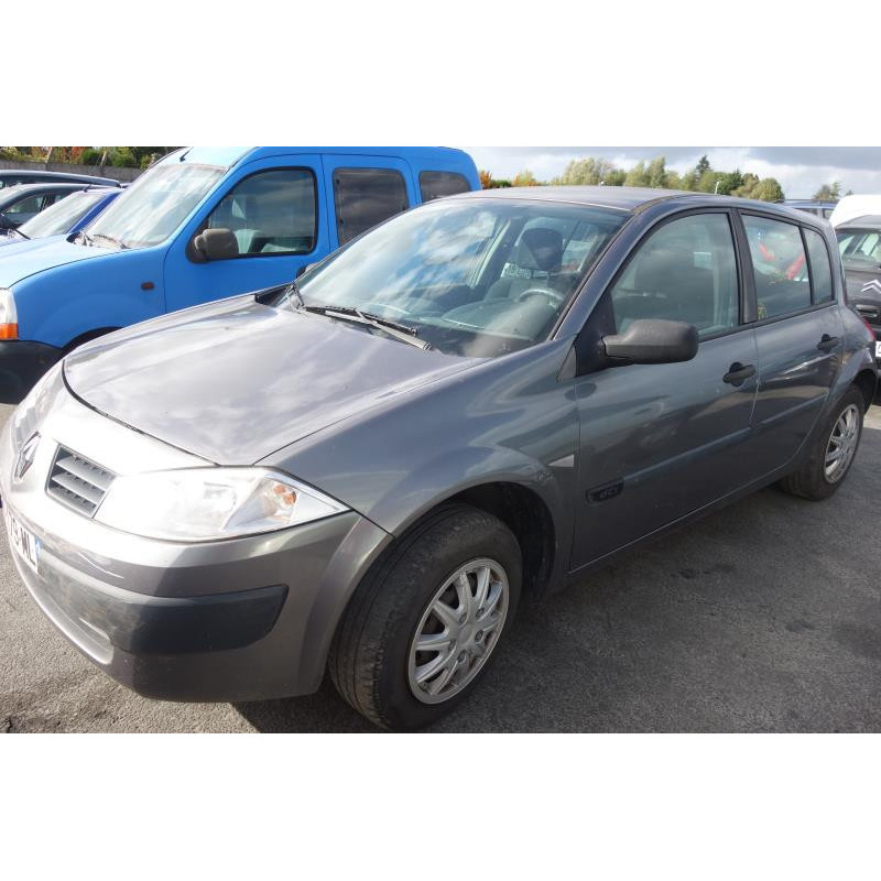 Porte avant gauche RENAULT MEGANE 2 Photo n°3