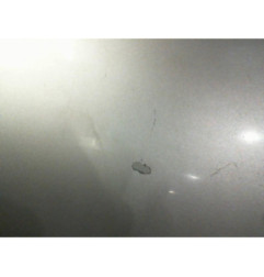 Porte arriere gauche VOLKSWAGEN GOLF 4