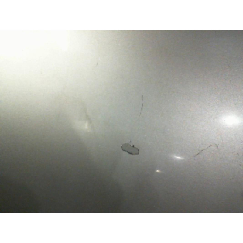 Porte arriere gauche VOLKSWAGEN GOLF 4 Photo n°2