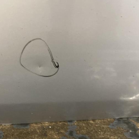 Porte avant droit RENAULT SCENIC 2