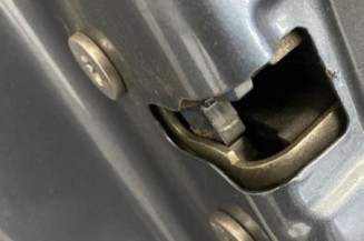 Porte arriere gauche CITROEN C4 GRAND PICASSO 1