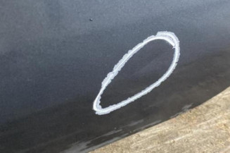 Porte arriere gauche CITROEN C4 GRAND PICASSO 1