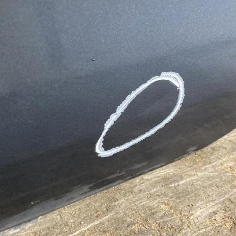 Porte arriere gauche CITROEN C4 GRAND PICASSO 1 Photo n°6