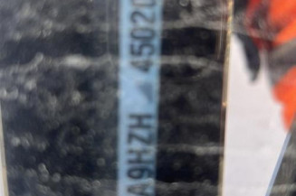 Porte arriere gauche CITROEN C4 GRAND PICASSO 1