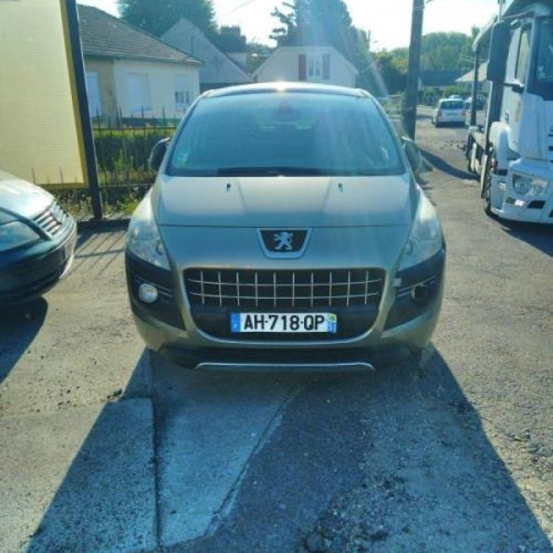 Bouton de warning PEUGEOT 3008 1 Photo n°4