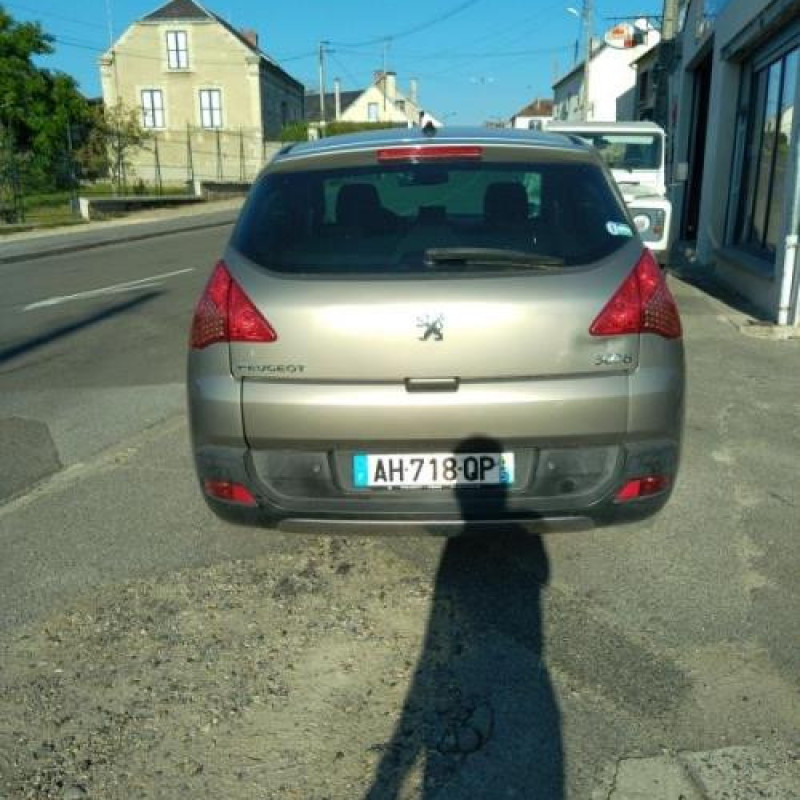 Bouton de warning PEUGEOT 3008 1 Photo n°6