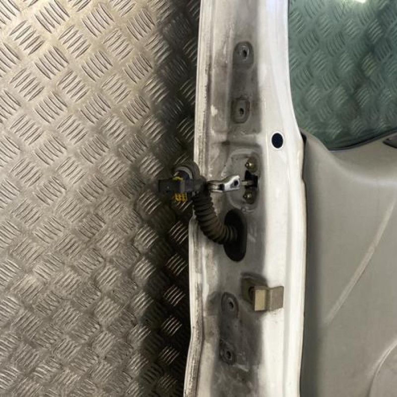 Porte avant droit RENAULT TRAFIC 2 Photo n°10