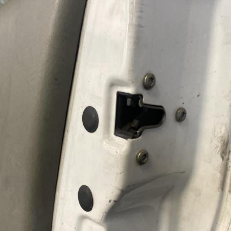 Porte avant droit RENAULT TRAFIC 2 Photo n°11