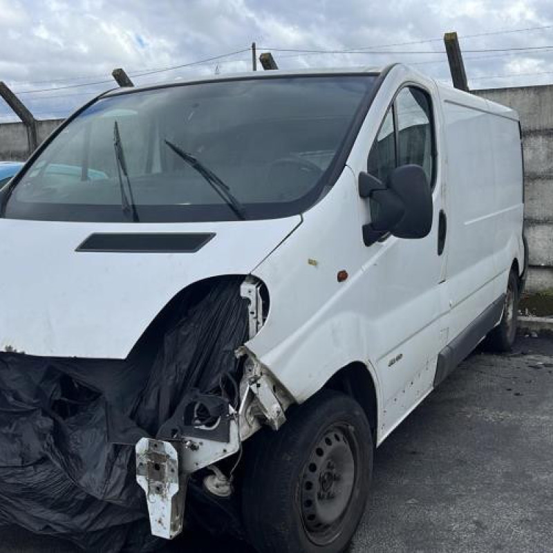 Porte avant droit RENAULT TRAFIC 2 Photo n°13