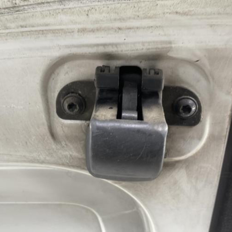 Porte de coffre droit RENAULT KANGOO 1 Photo n°5