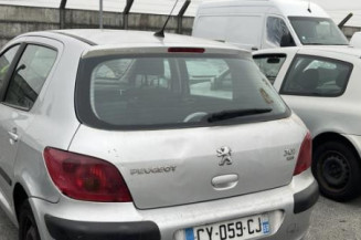 Pulseur d'air PEUGEOT 307